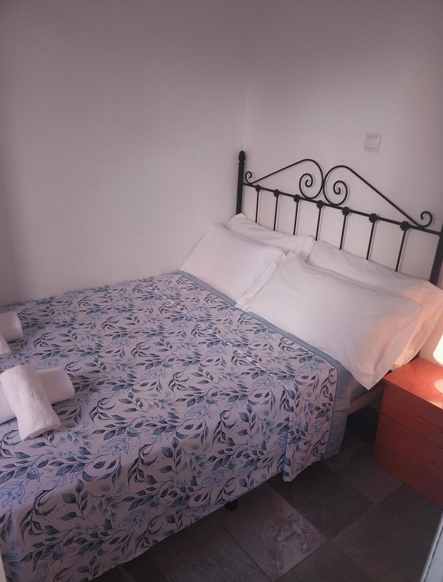 Apartamentos Coris Urban Center マラガ エクステリア 写真